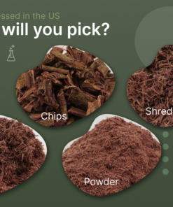 Mimosa tenuiflora Pulver