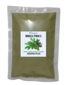 Mimosa Pudica Root